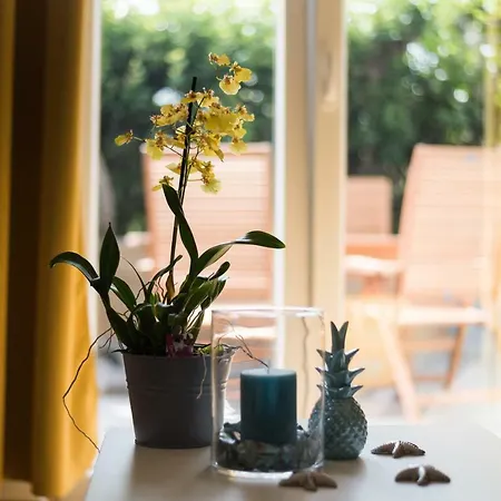Dream In Arena 1 Center Free Parking Apartment *