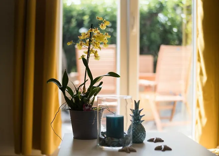 Dream In Arena 1 Center Free Parking Daire *